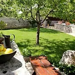 Violica, Karnevali Žminj