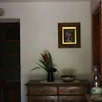 Violica, Karnevali