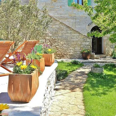 Vila Violica, Karnevali *