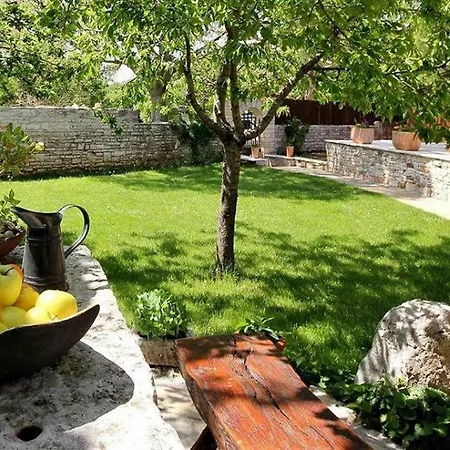 Violica, Karnevali Žminj