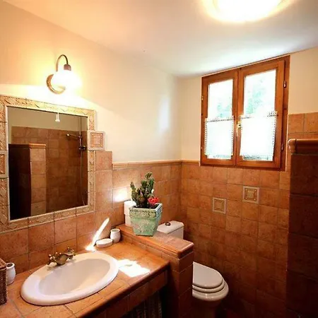 Violica, Karnevali * Žminj