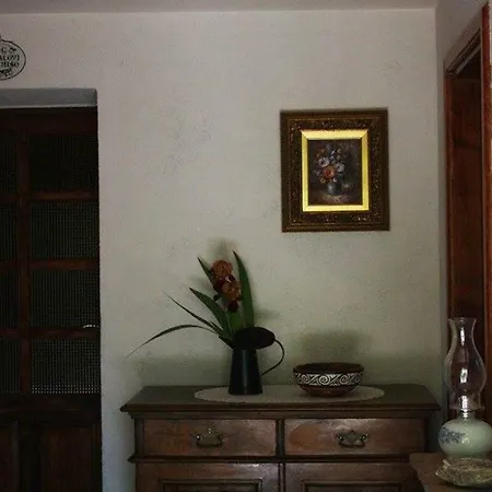 Violica, Karnevali