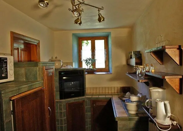 Violica, Karnevali Vila Zminj